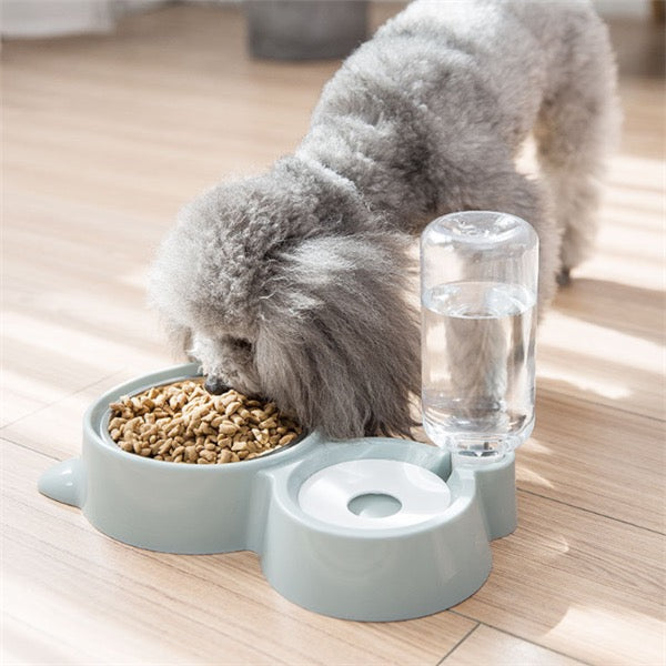 Gamelle pour chien avec distributeur d’eau automatique