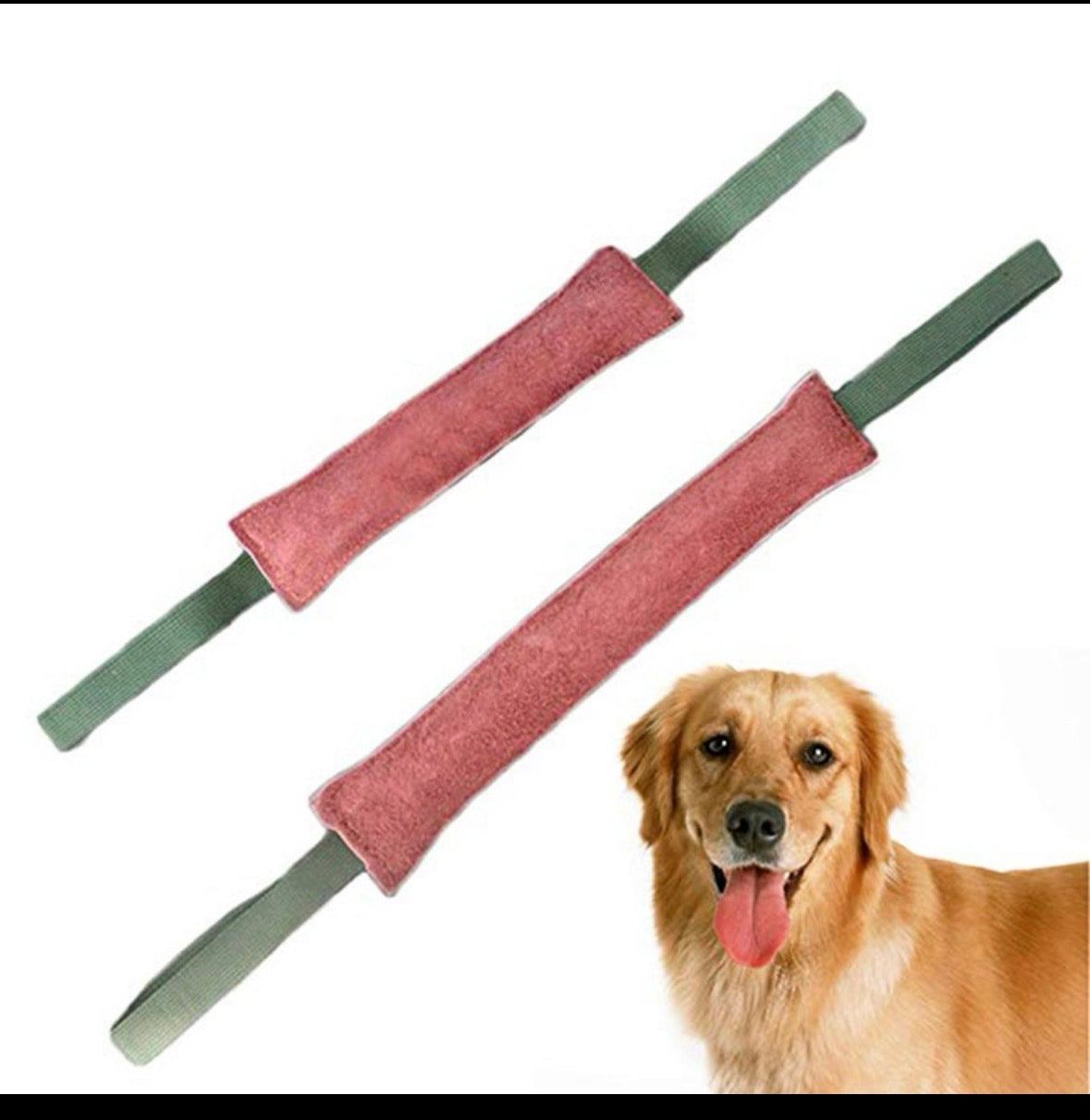 Bâton d’entraînement pour chien.