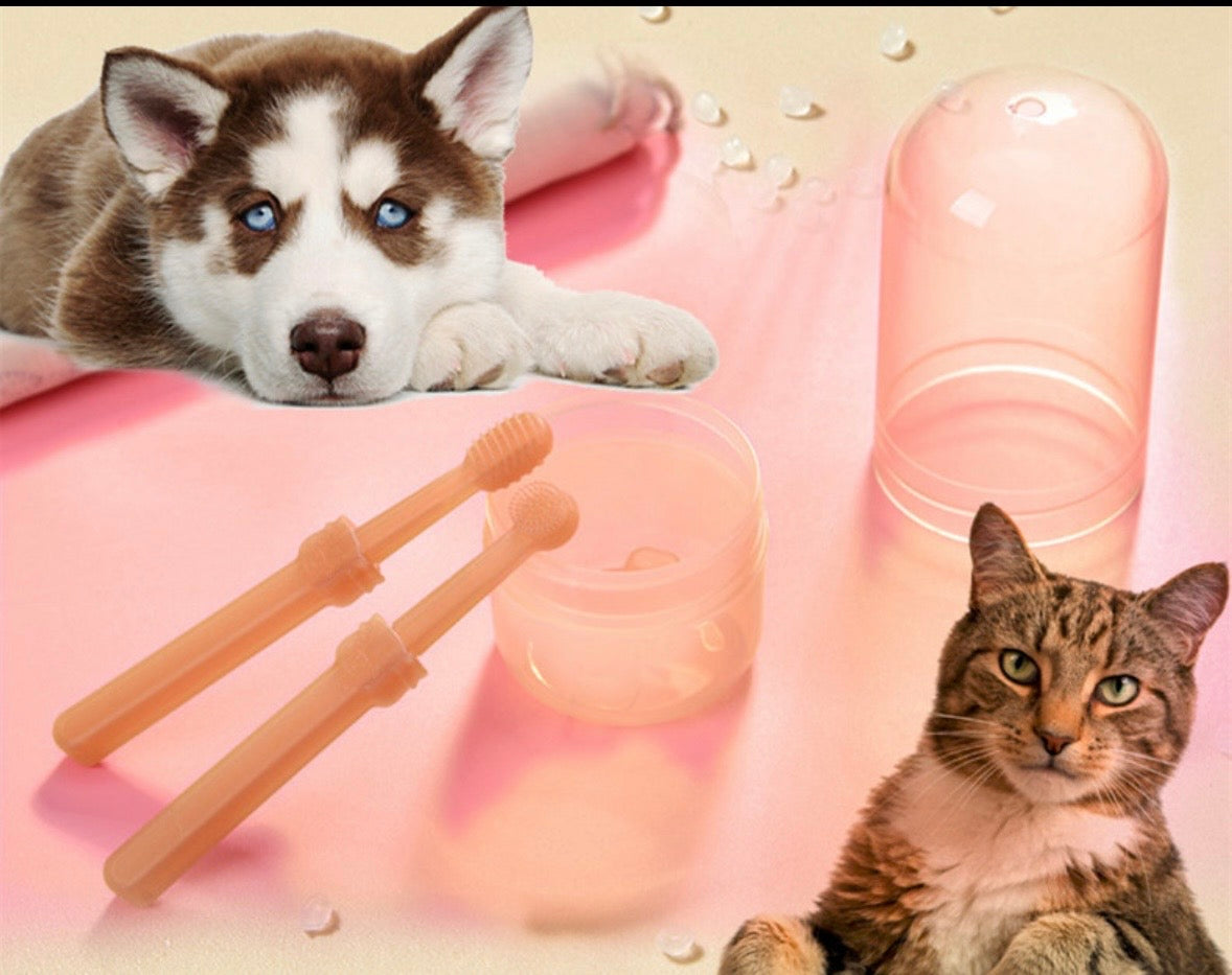 Kit Brosse à Dents en Silicone pour Chien