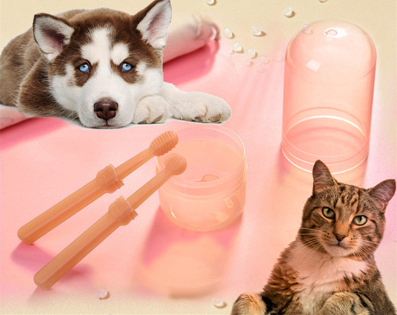 39744a79bec54fad86fdab2611f19040